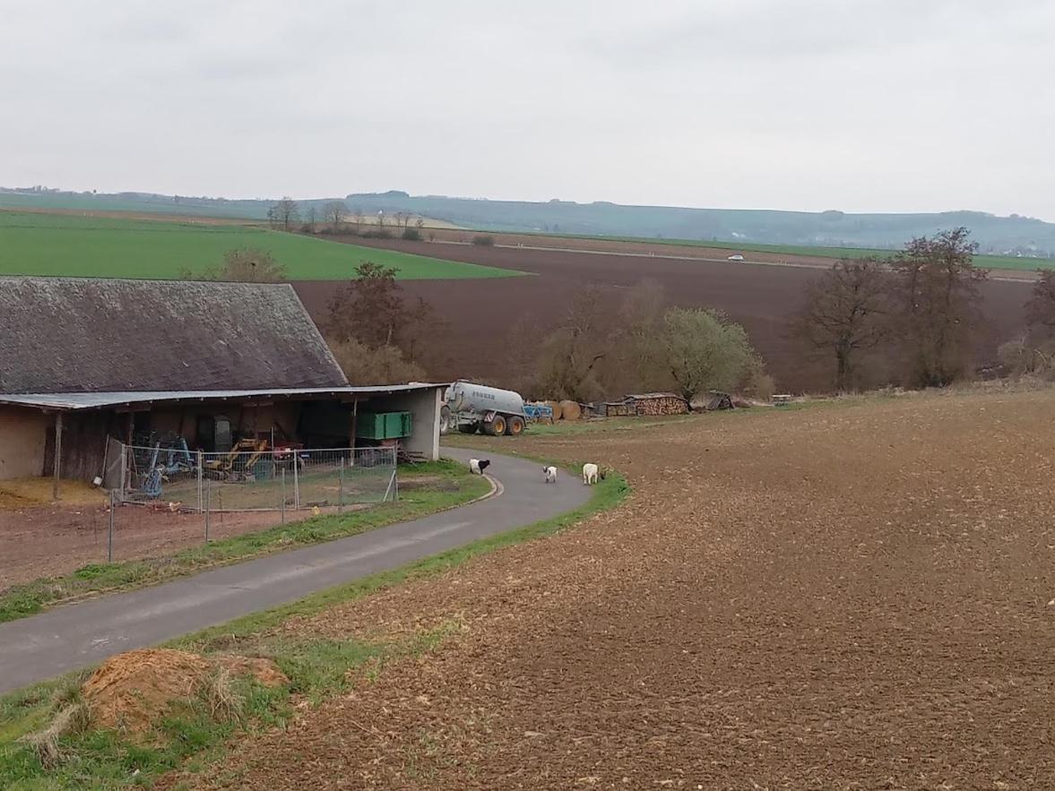 Ferienbauernhof Neumuehle Gappenach Exterior foto